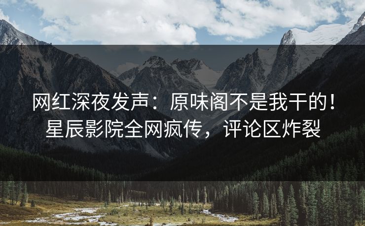 网红深夜发声：原味阁不是我干的！星辰影院全网疯传，评论区炸裂