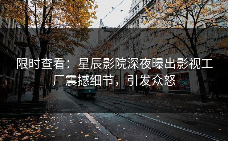 限时查看：星辰影院深夜曝出影视工厂震撼细节，引发众怒