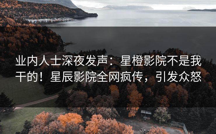 业内人士深夜发声:星橙影院不是我干的!星辰影院全网疯传,引发众怒