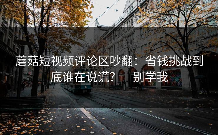 蘑菇短视频评论区吵翻：省钱挑战到底谁在说谎？｜别学我